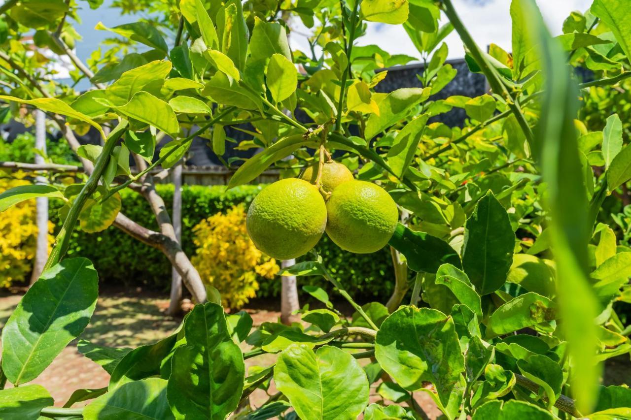 1730 Kaleka 4 Bed Poipu House, Guest House Walk To Beach Koloa Eksteriør billede